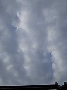 Mifavorito2024 webcam