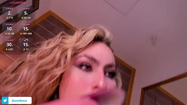 WenFox webcam