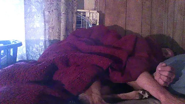 luke_thighwalker2469 webcam