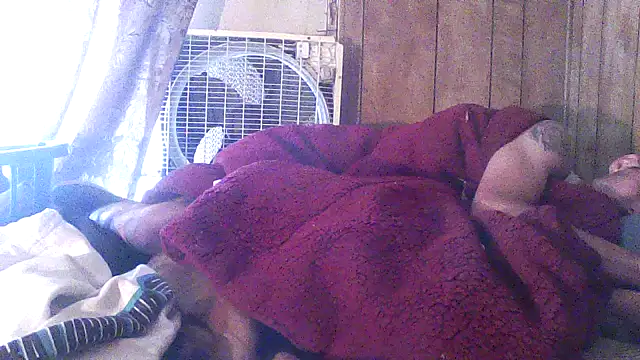 luke_thighwalker2469 webcam