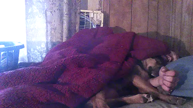 luke_thighwalker2469 webcam