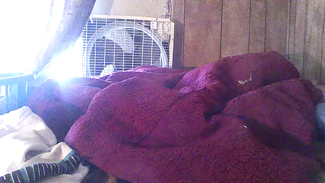 luke_thighwalker2469 webcam