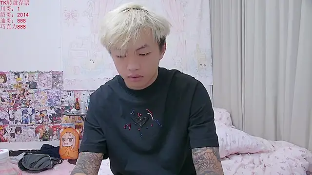 Chocolates-001 webcam