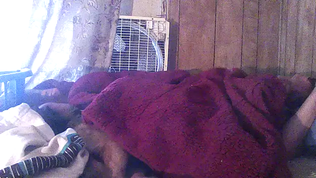 luke_thighwalker2469 webcam