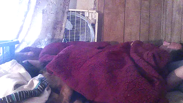 luke_thighwalker2469 webcam