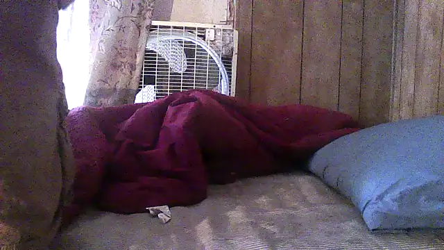 luke_thighwalker2469 webcam