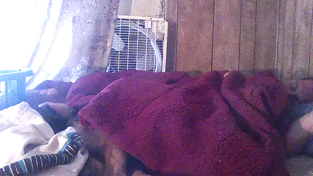 luke_thighwalker2469 webcam