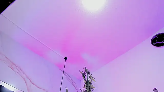 Ibbie_drastic webcam