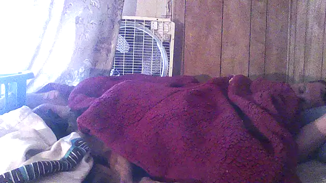 luke_thighwalker2469 webcam