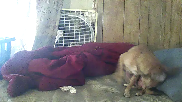 luke_thighwalker2469 webcam