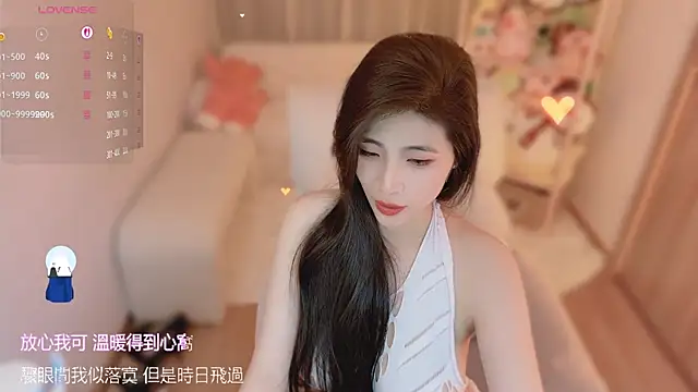 Vaidurya-Yolo webcam