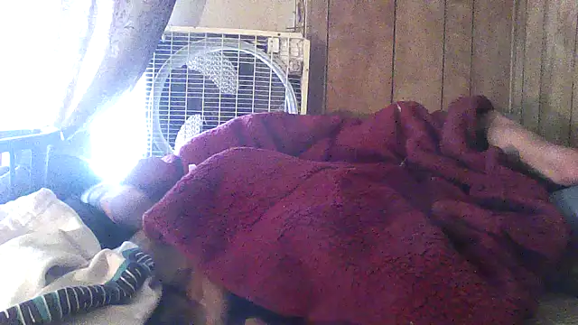 luke_thighwalker2469 webcam