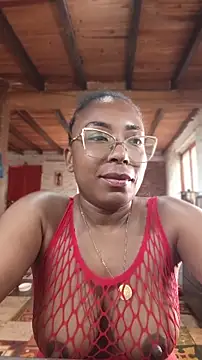 ChanneldelaCroix webcam