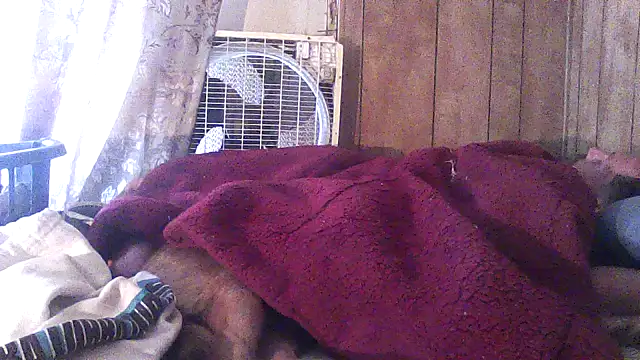 luke_thighwalker2469 webcam