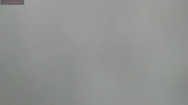 BIG_cockpether webcam