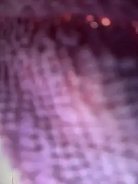 sara_calderon webcam