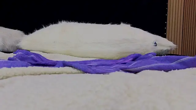 Megan-Horney- webcam