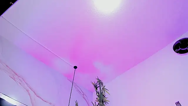 Ibbie_drastic webcam