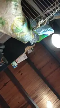 channeldelacroix - ChanneldelaCroix's free webcam - UK Sex Cams