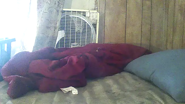 luke_thighwalker2469 webcam