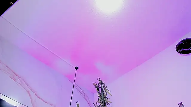 Ibbie_drastic webcam