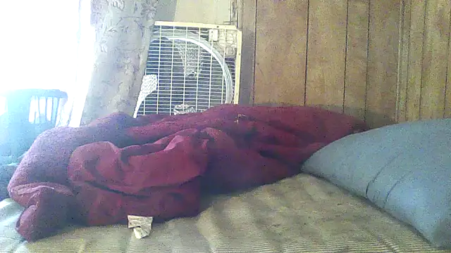 luke_thighwalker2469 webcam