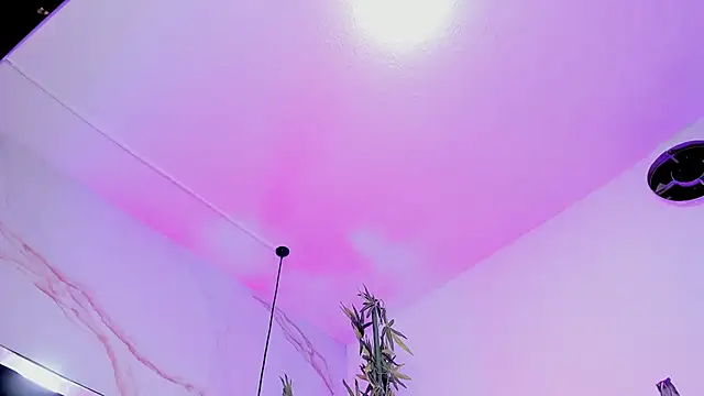 Ibbie_drastic webcam