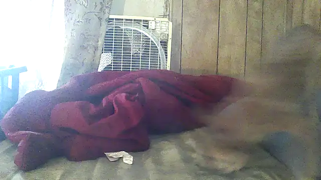 luke_thighwalker2469 webcam