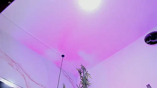 Ibbie_drastic webcam