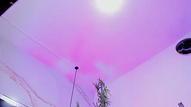 Ibbie_drastic webcam