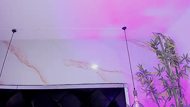 Ibbie_drastic webcam