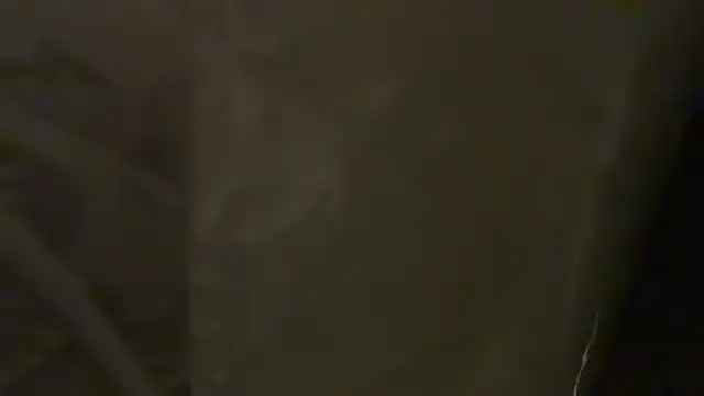 KungFuPanda001 webcam