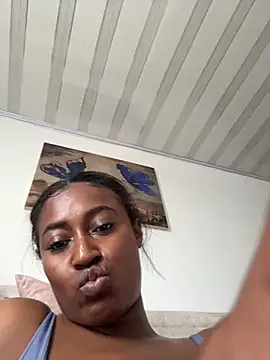 Brunna-Brownn webcam