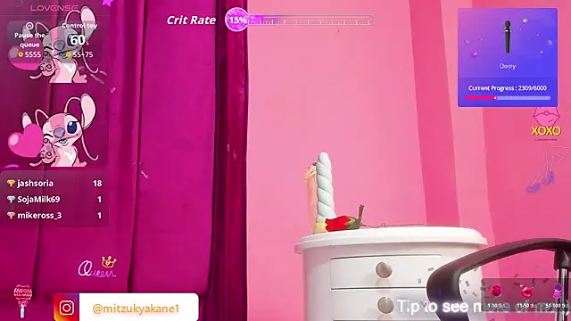 mitzukywinteer webcam