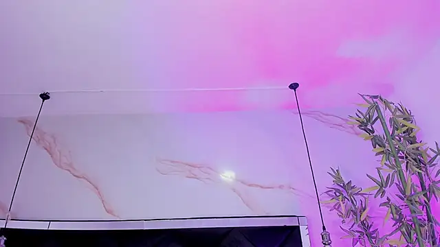 Ibbie_drastic webcam