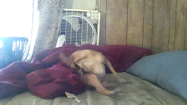 luke_thighwalker2469 webcam