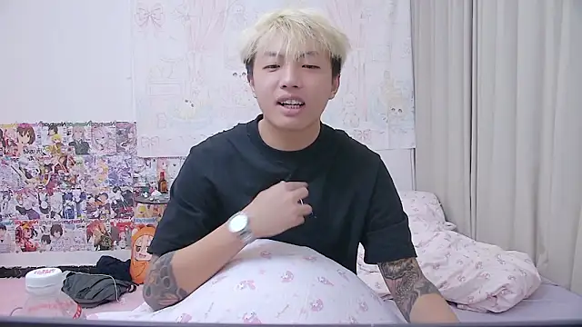 Chocolates-001 webcam