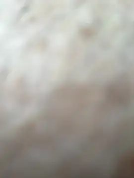 superbearboss webcam