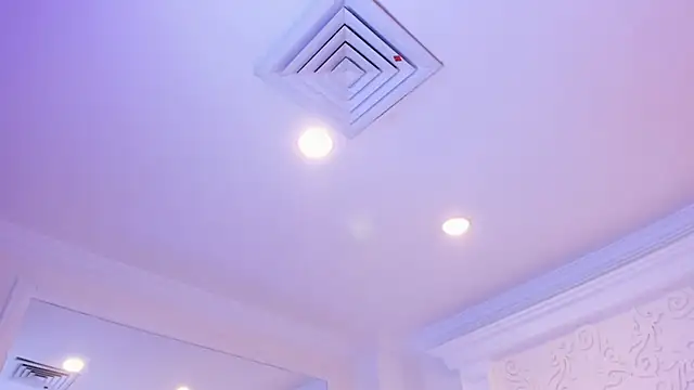 VioletaHills_ webcam