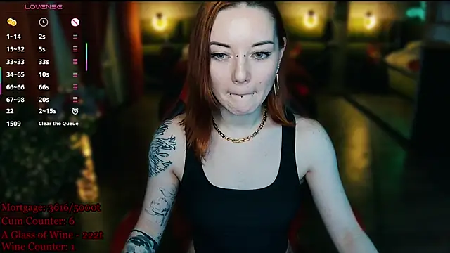 MaxPhoenixx webcam