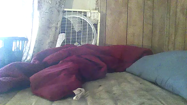 luke_thighwalker2469 webcam