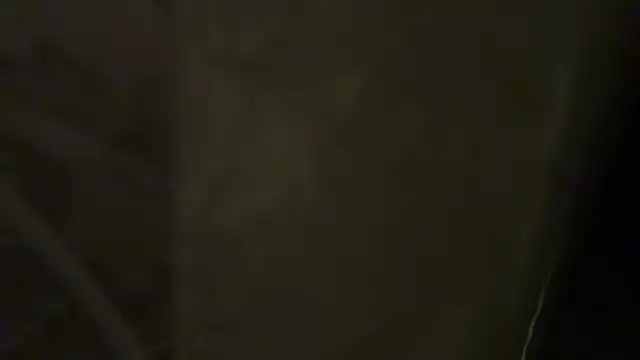 KungFuPanda001 webcam