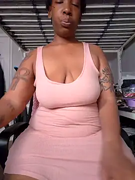 MsSapPhire500 webcam