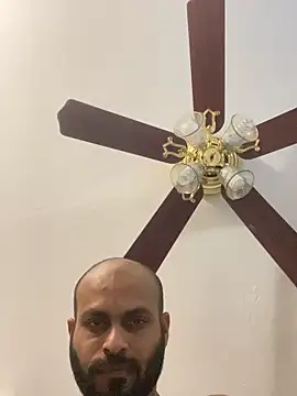 islandvybee55 webcam