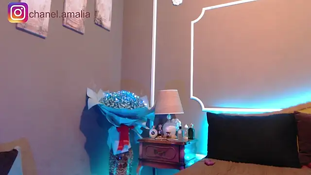 Chanel- webcam