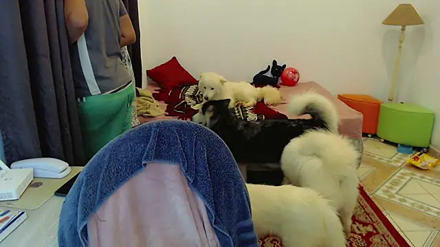 Sophie_Fantasys live sex cam