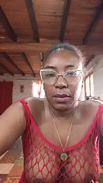 ChanneldelaCroix webcam