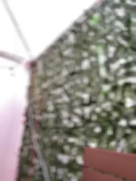 afrodita_pinkk webcam