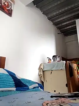 vegonicarouge webcam