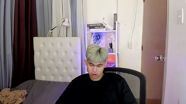 davincihugecock webcam